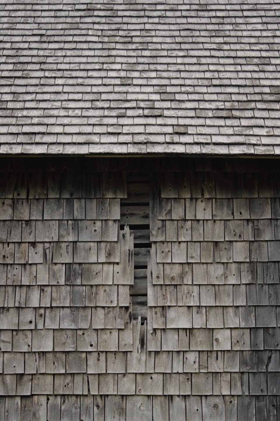 Residents of lle Verte Reinvent the Boucaneries by Atelier Pierre Thibault