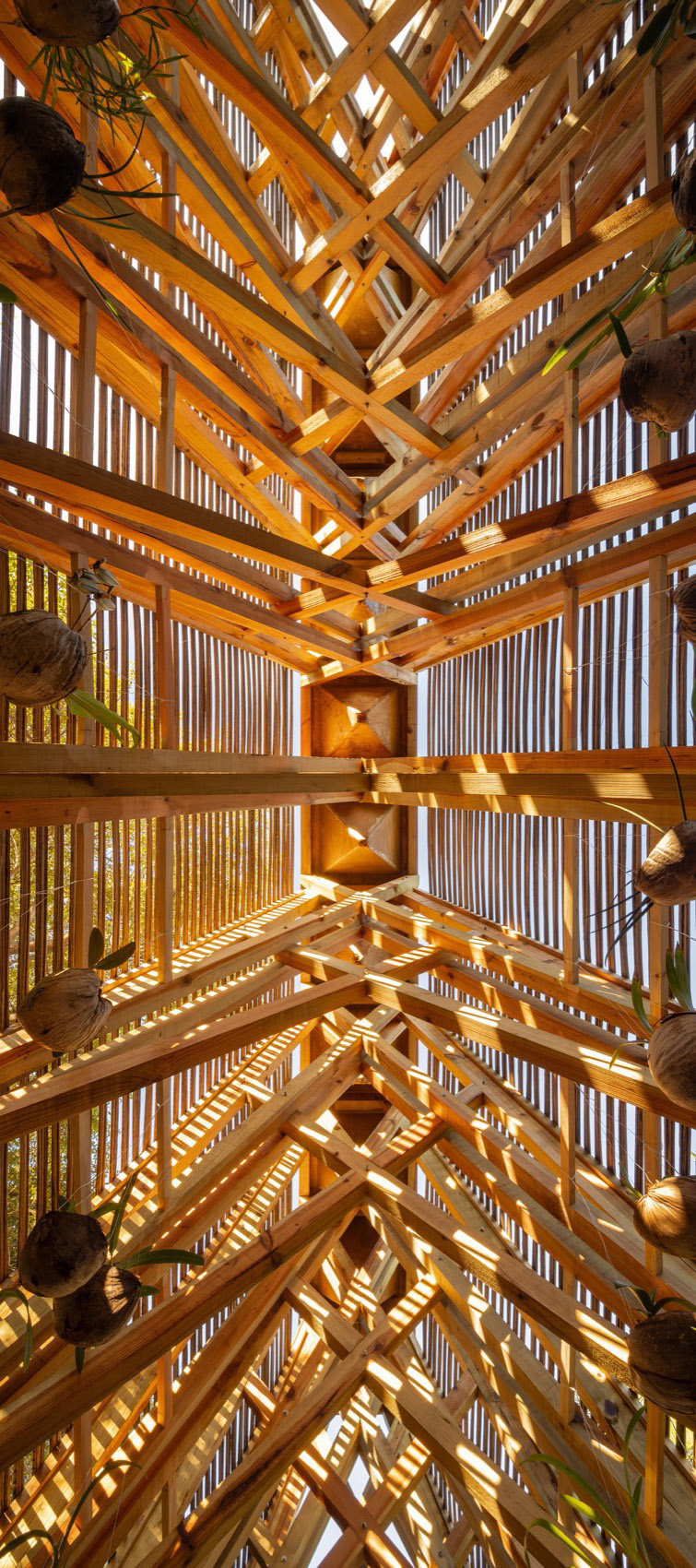 Orchid Pavilion for Casa Wabi by CCA Bernardo Quinzanos hpk