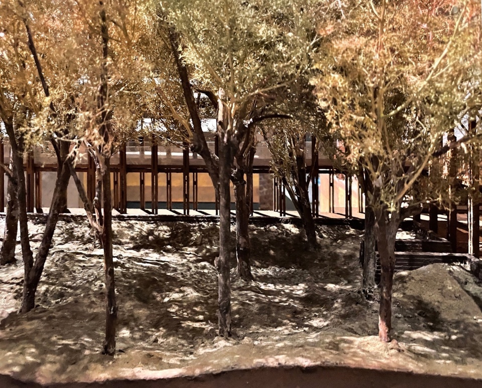 Revival of Ordinary Trees