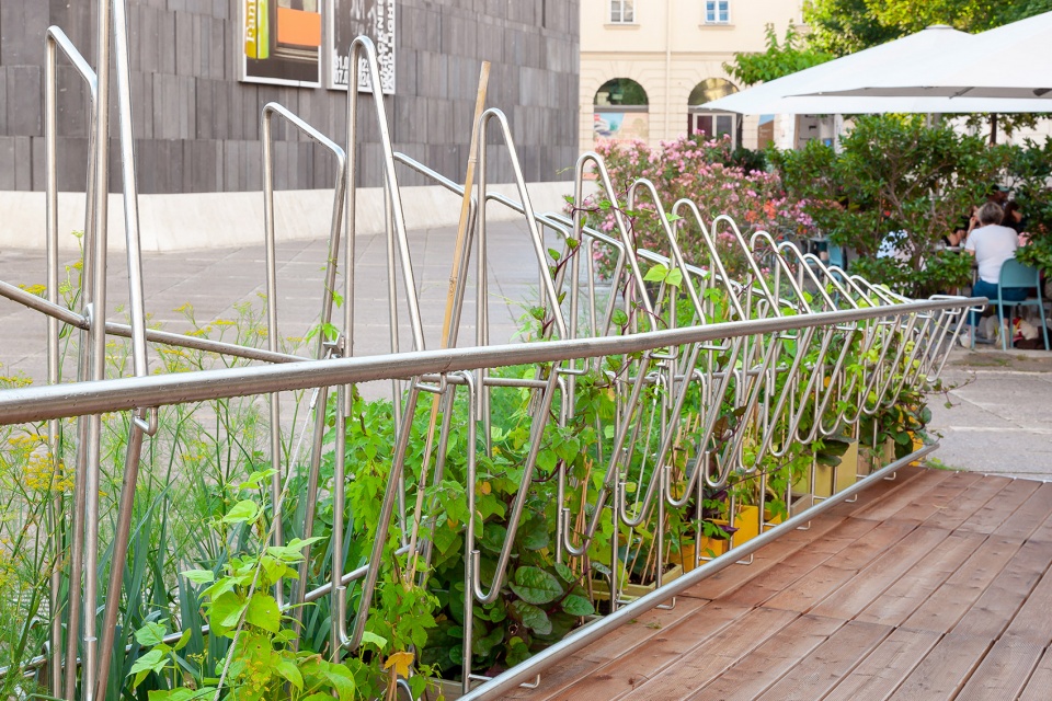 urban green island by openfields