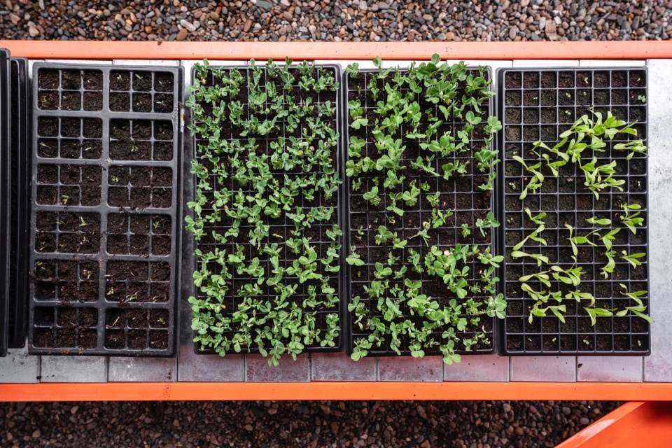 A low tec Hydroponics Module by Alsar Atelier