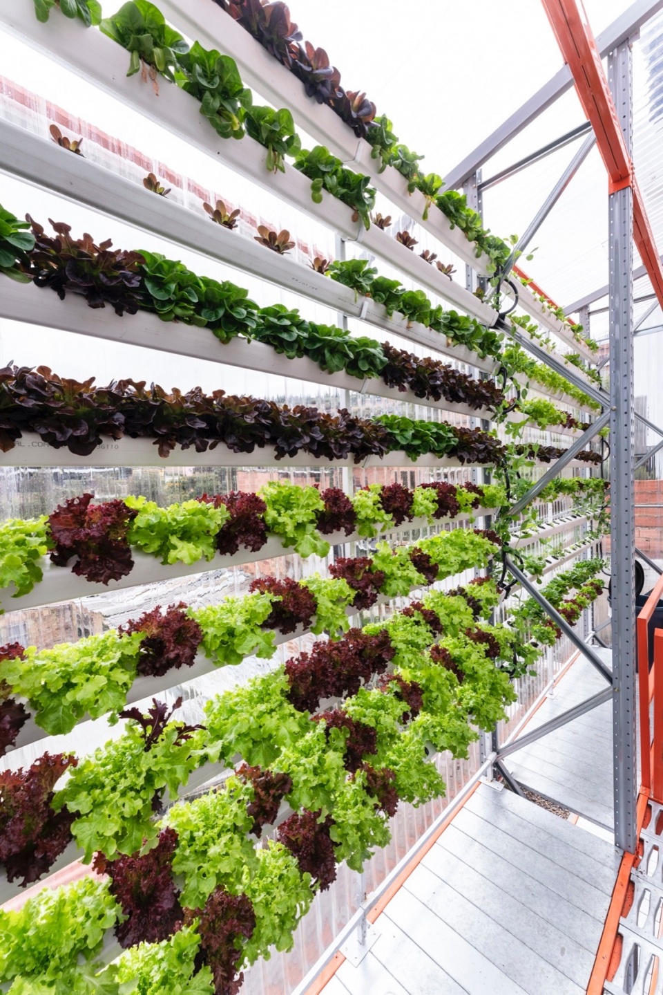 A low tec Hydroponics Module by Alsar Atelier