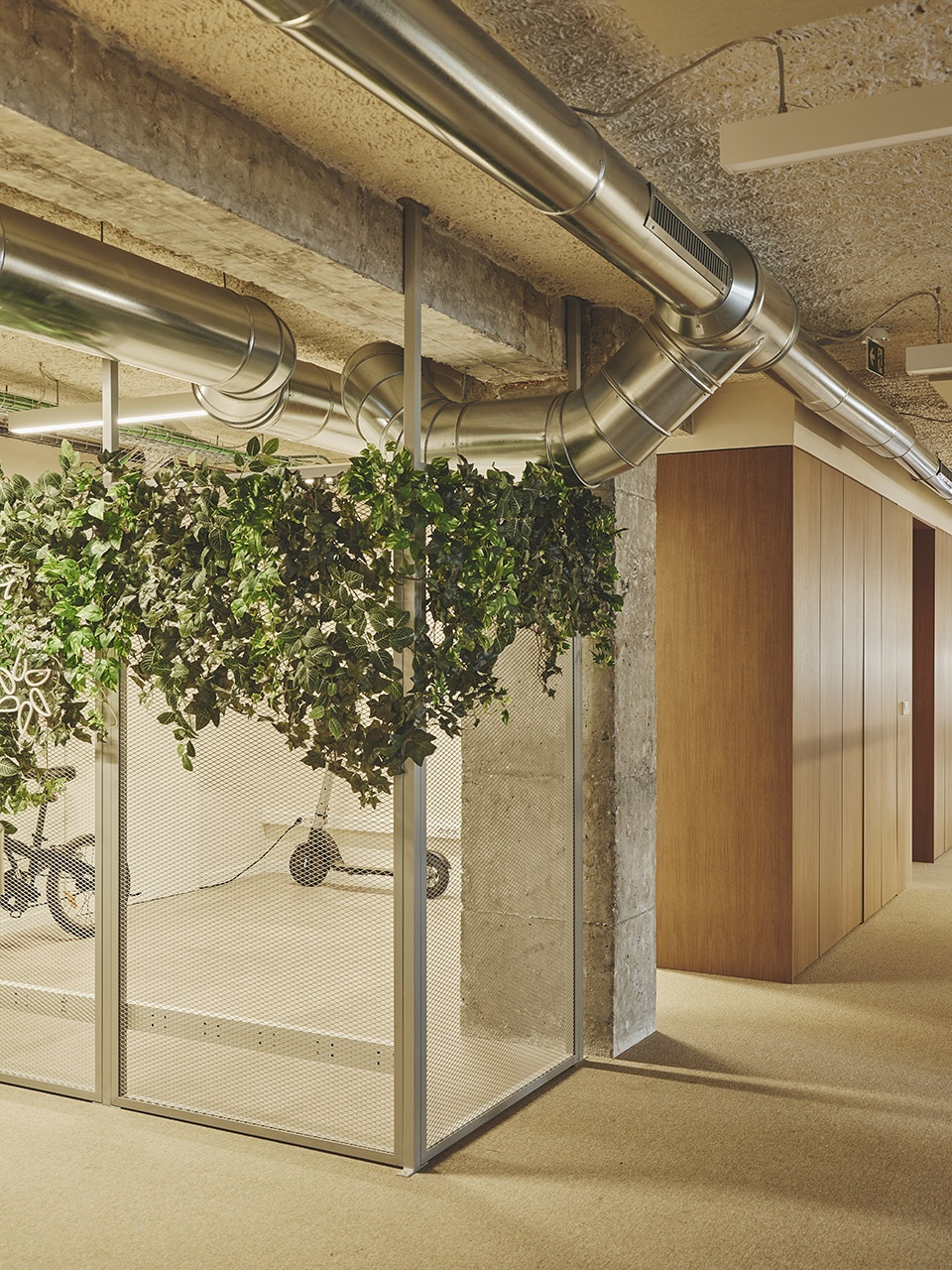 prosolia headquarters by destudio