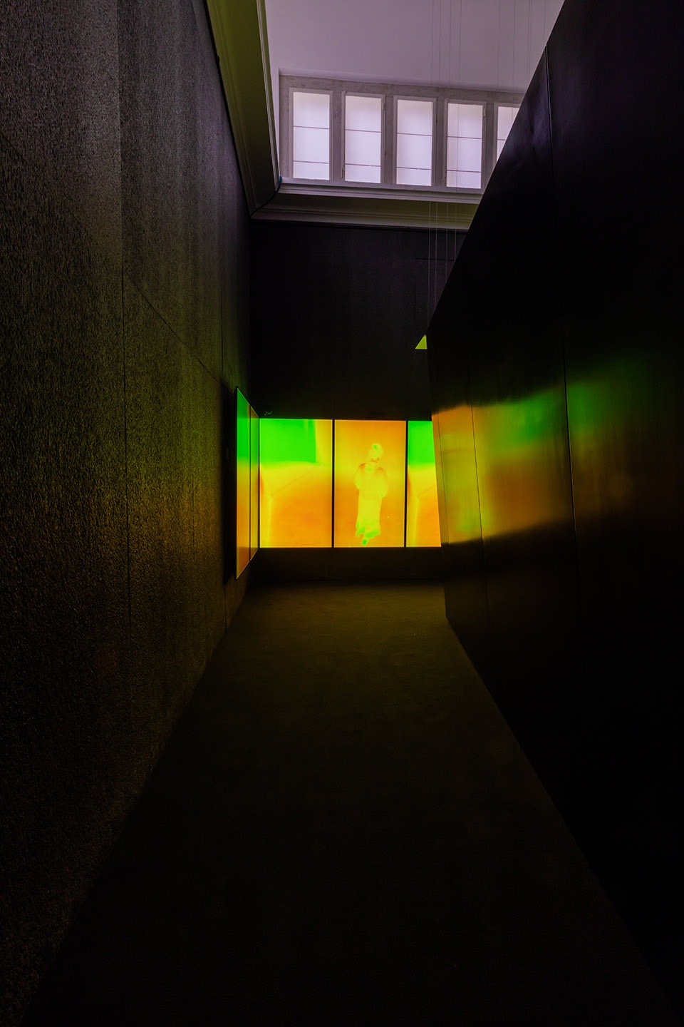 stresstest exhibition for la biennale di venezia