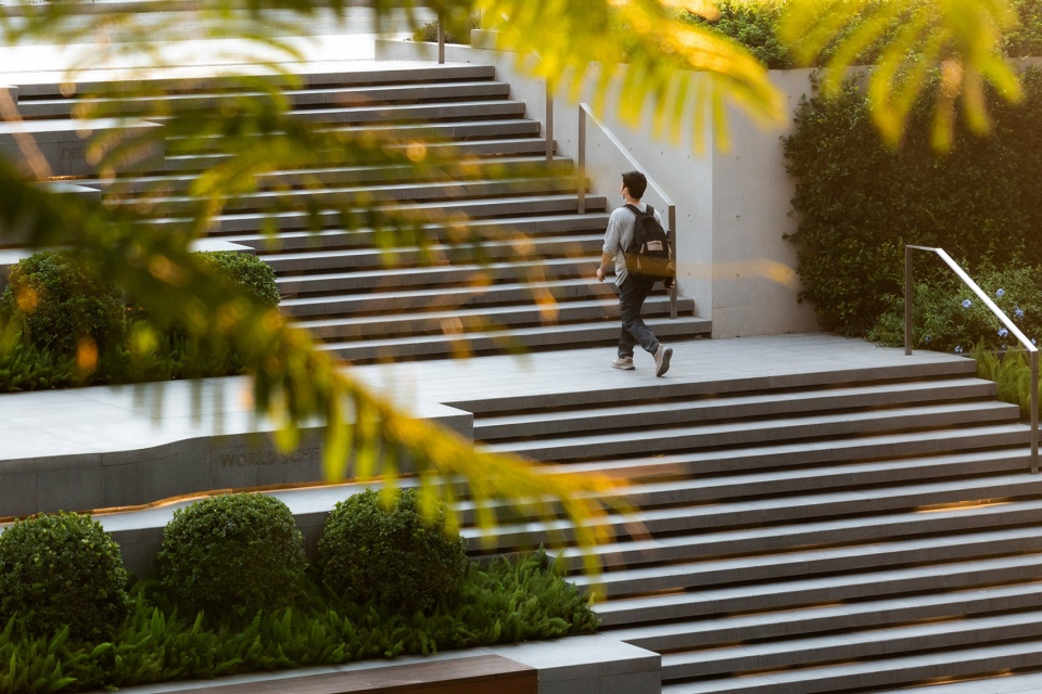 shenzhen longhua design headquarters landscape by elandscript sutpc