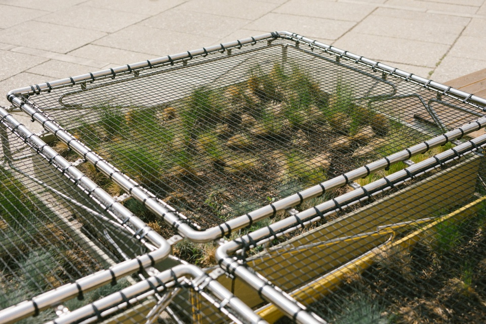 urban green island by openfields