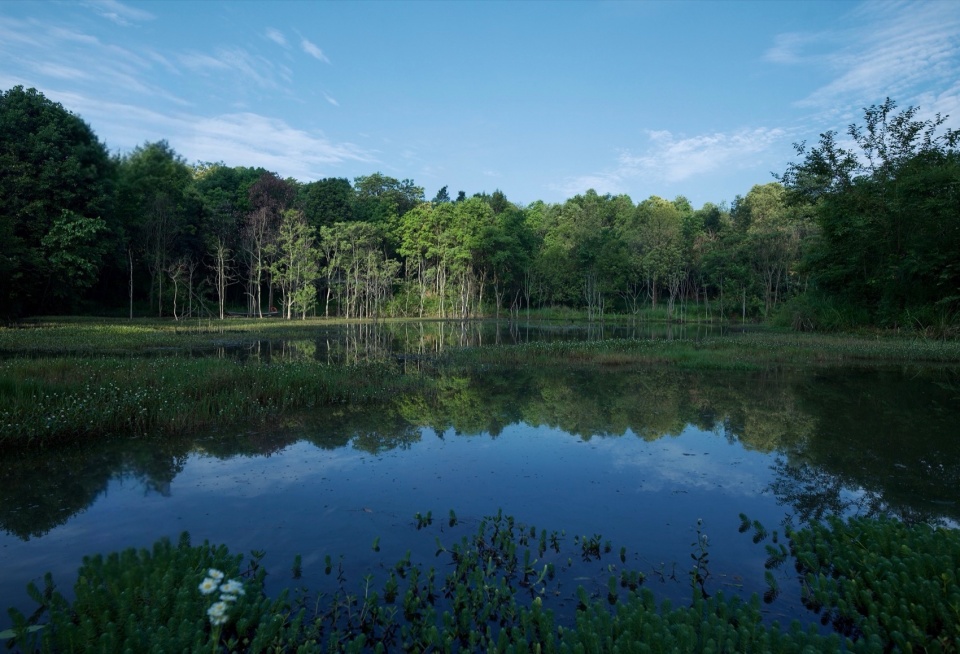 Green Field Park by Sichuan Ledao Landscape Design Co Ltd