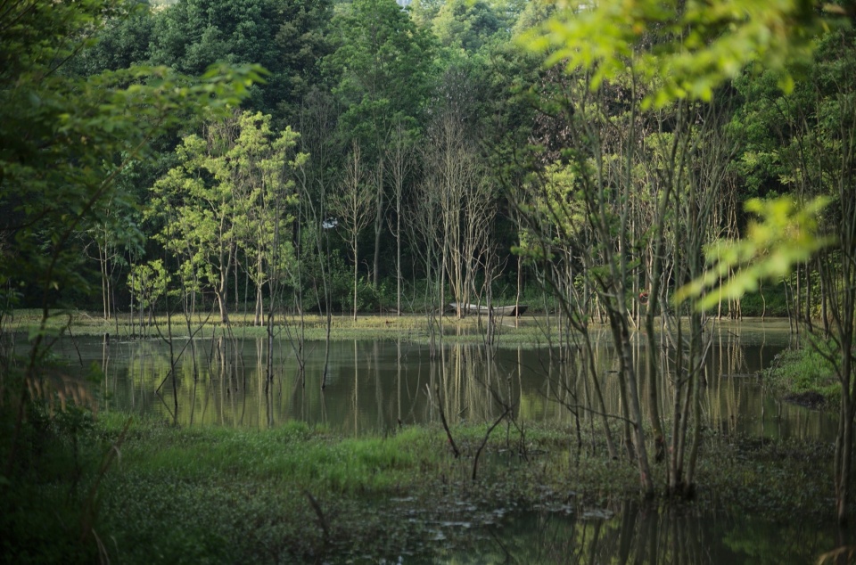 Green Field Park by Sichuan Ledao Landscape Design Co Ltd