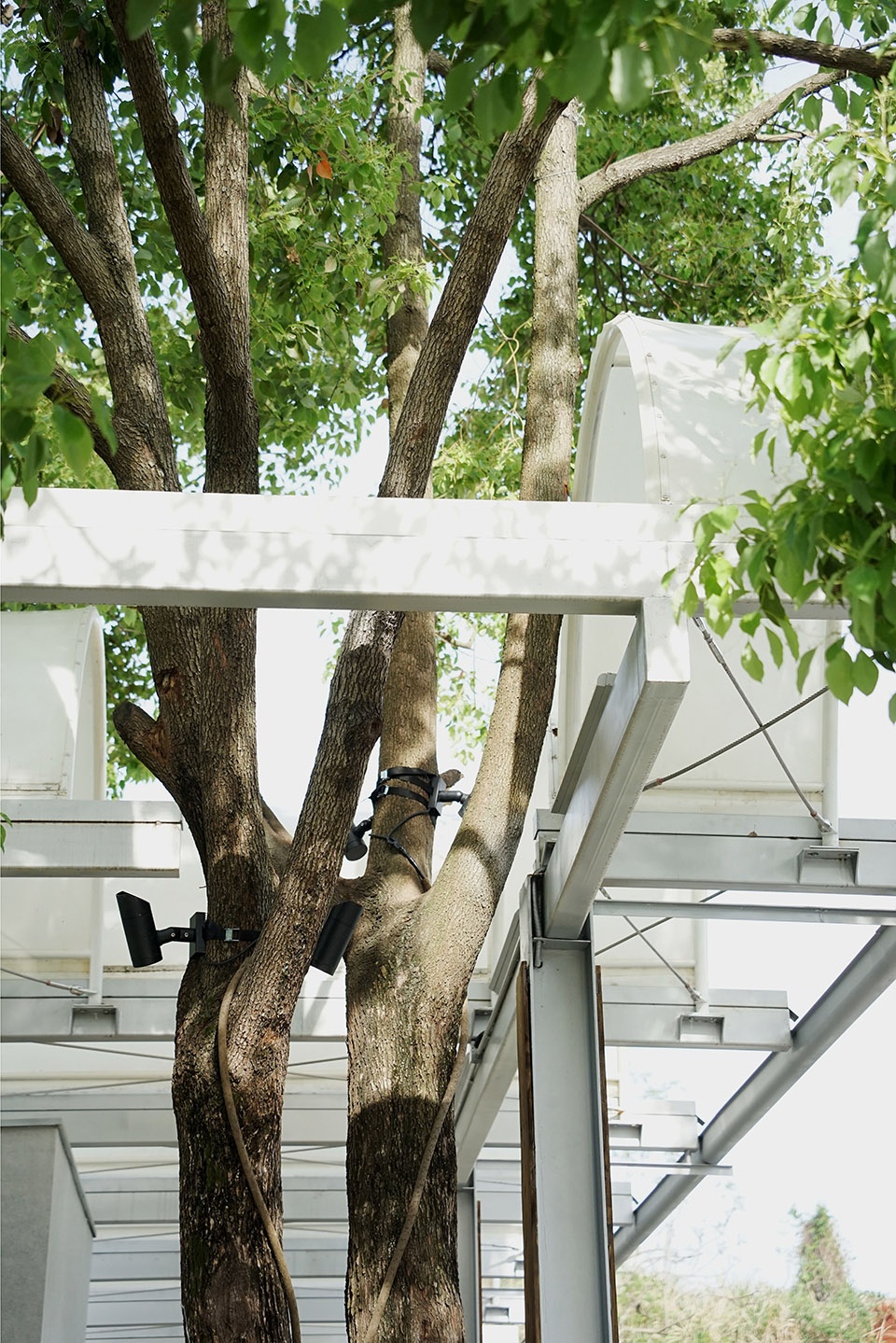 luxe lake cpi island phase ii by vari architects