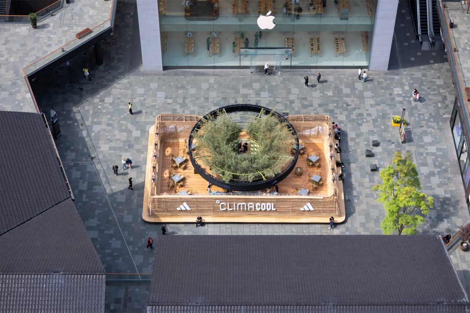 climacool teahouse by lineplus