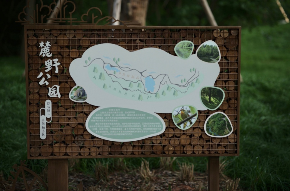 Green Field Park by Sichuan Ledao Landscape Design Co Ltd