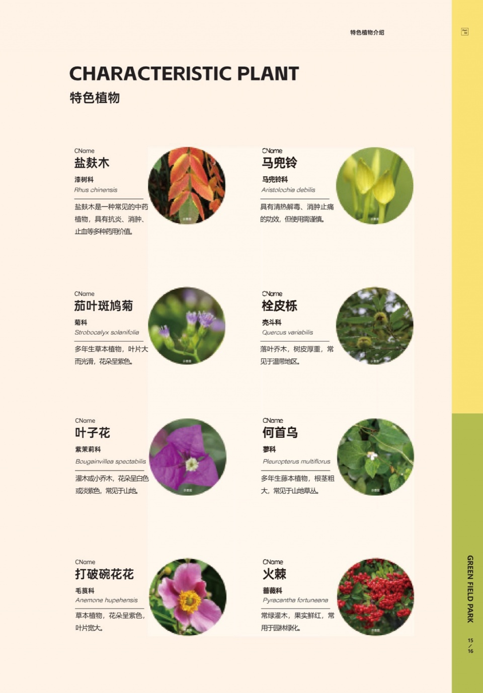 Green Field Park by Sichuan Ledao Landscape Design Co Ltd