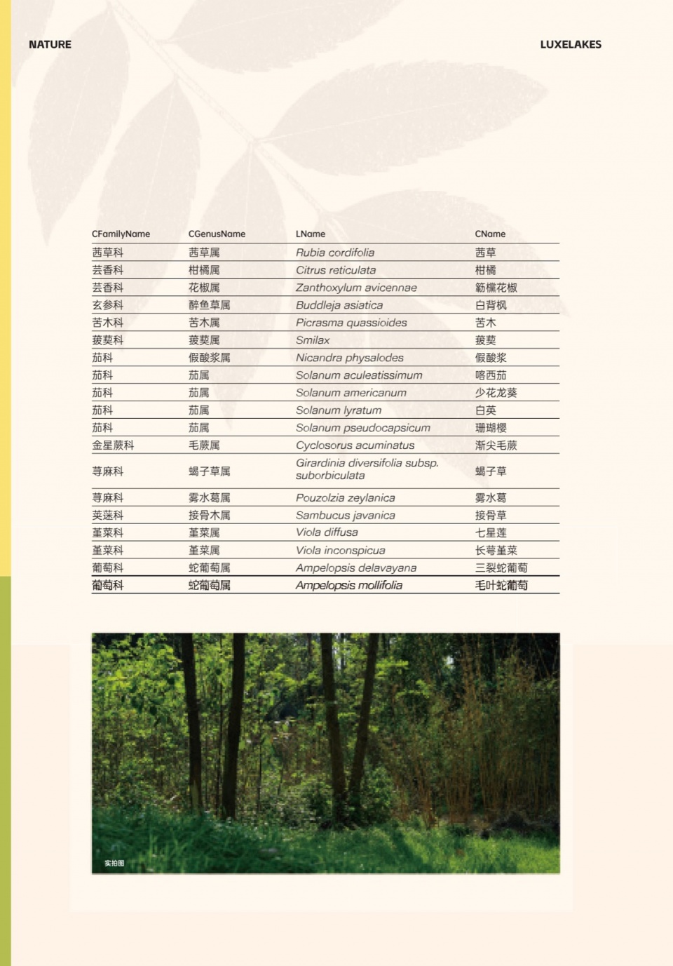 Green Field Park by Sichuan Ledao Landscape Design Co Ltd