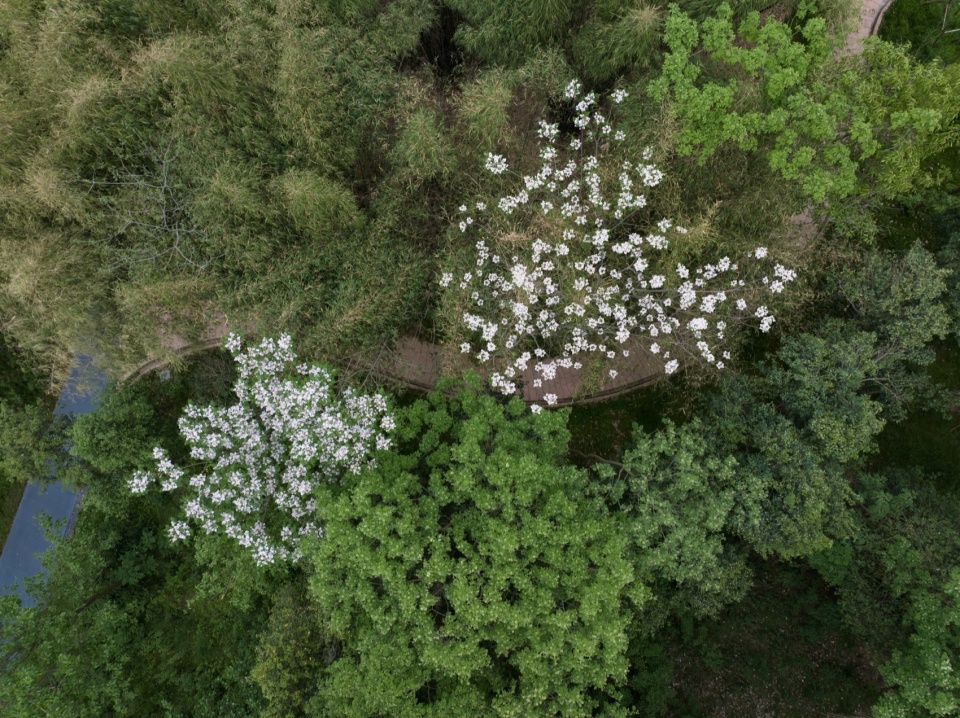 Green Field Park by Sichuan Ledao Landscape Design Co Ltd