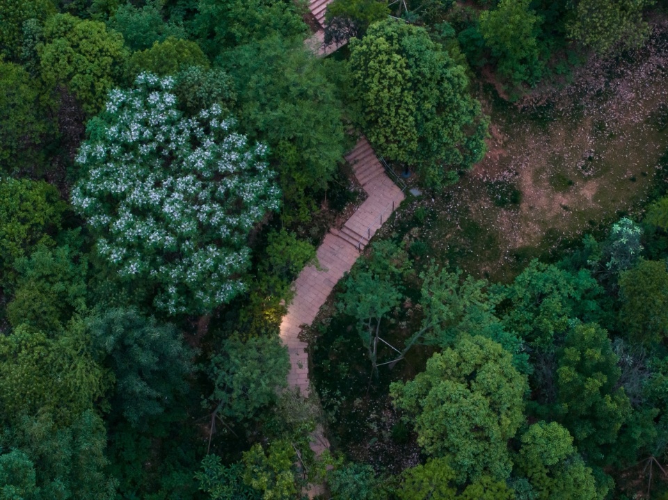 Green Field Park by Sichuan Ledao Landscape Design Co Ltd