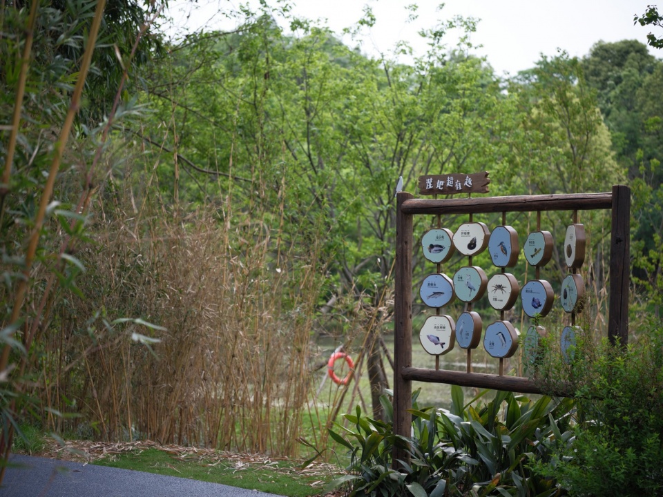 Green Field Park by Sichuan Ledao Landscape Design Co Ltd