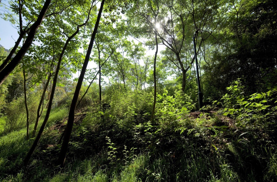 Green Field Park by Sichuan Ledao Landscape Design Co Ltd