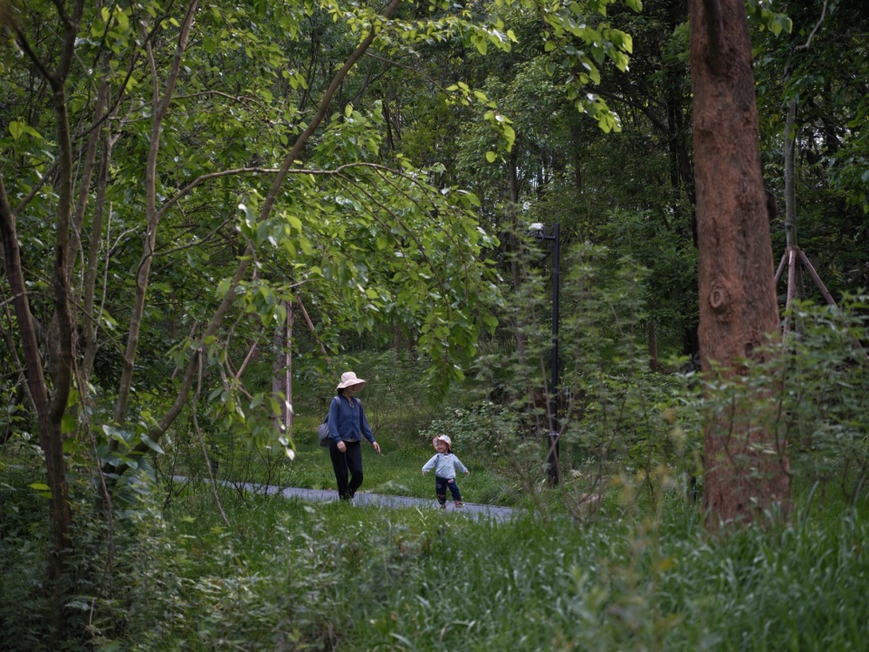 Green Field Park by Sichuan Ledao Landscape Design Co Ltd