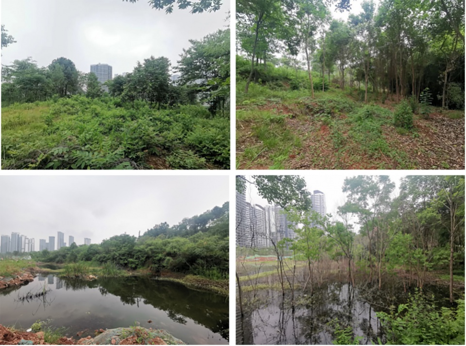 Green Field Park by Sichuan Ledao Landscape Design Co Ltd1 拷贝