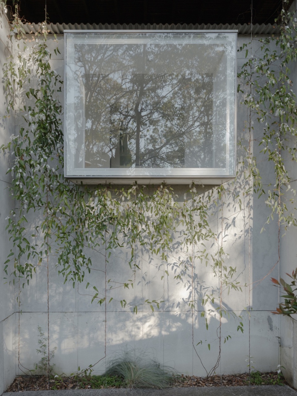 Window Window Window House