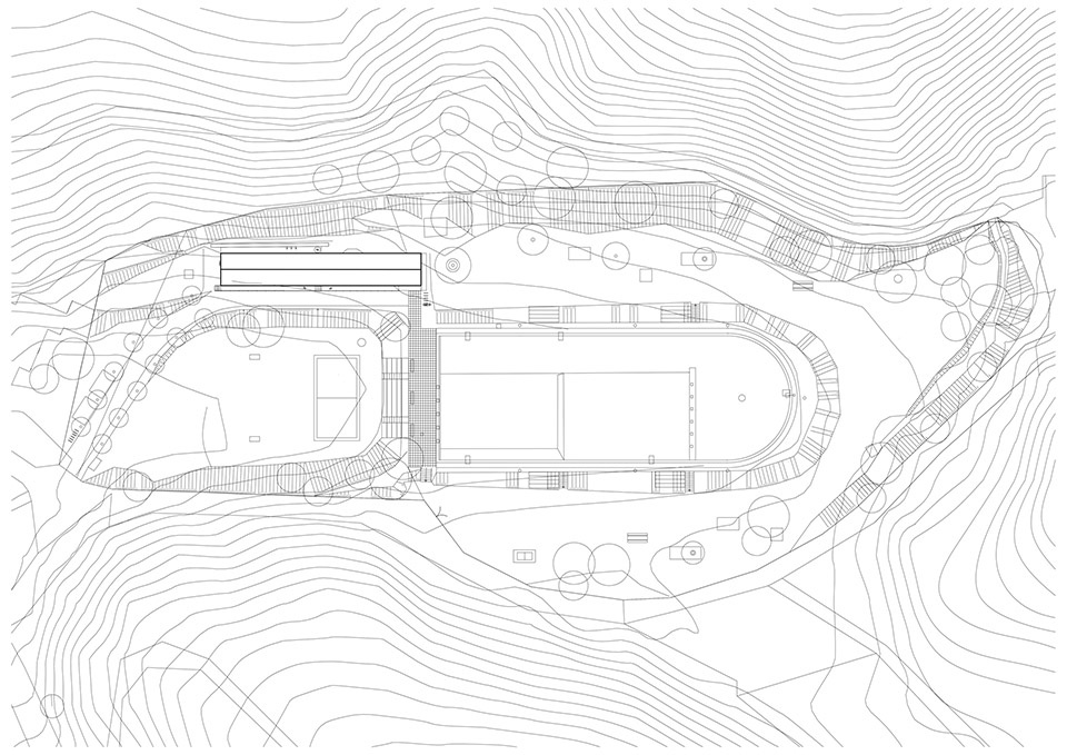forest pool by mjolk architekti