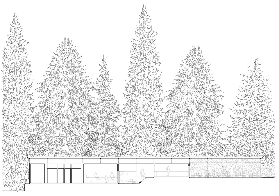 forest pool by mjolk architekti