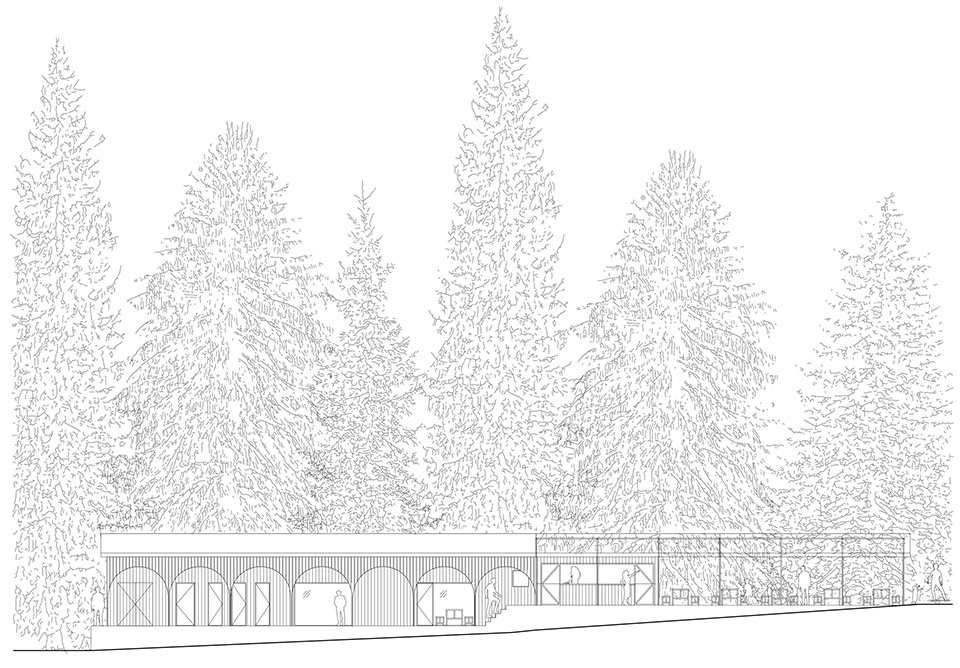 forest pool by mjolk architekti