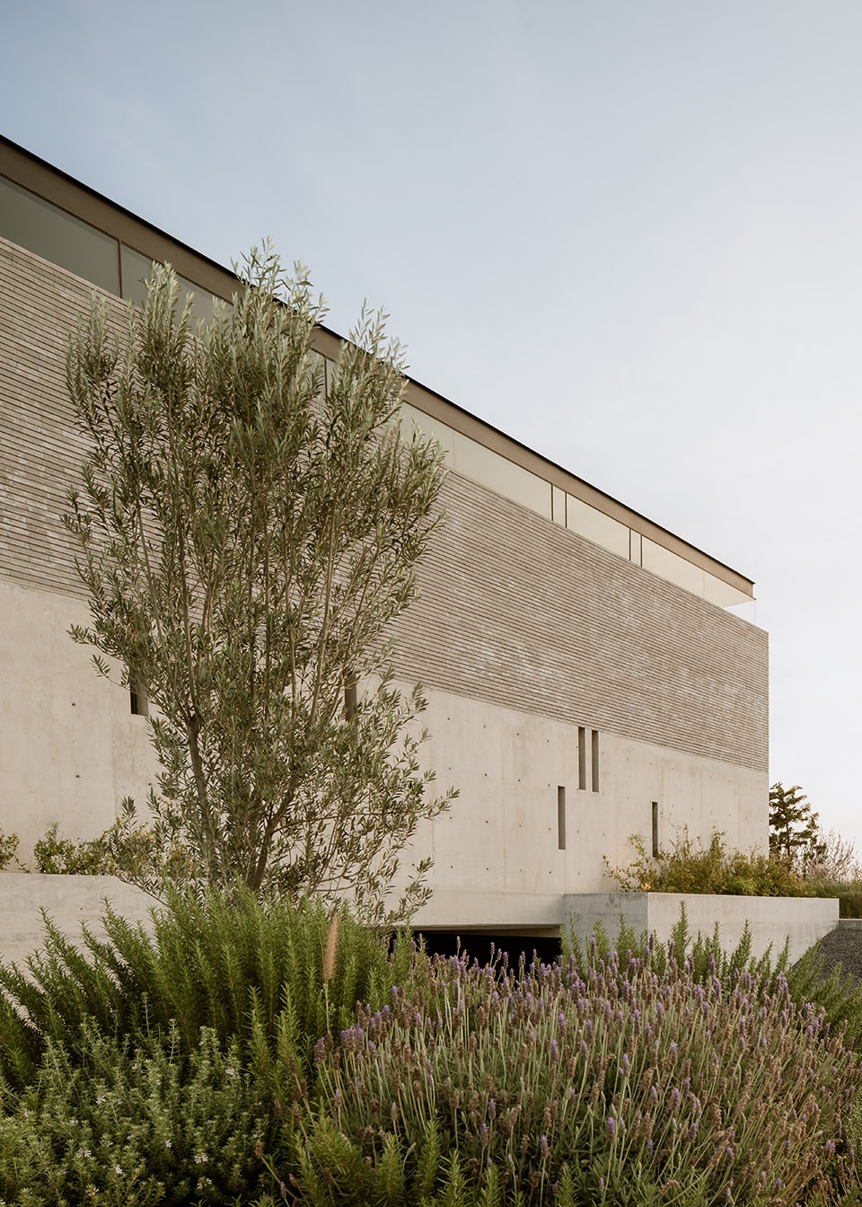 casa catedral by laboratorio de arquitectura