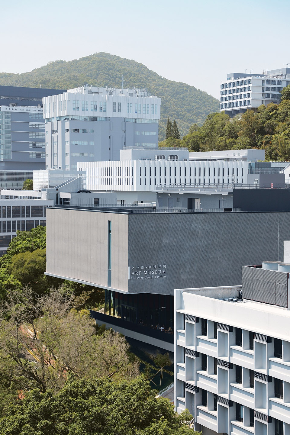 cuhk art museum new annex by rocco design architects associates
