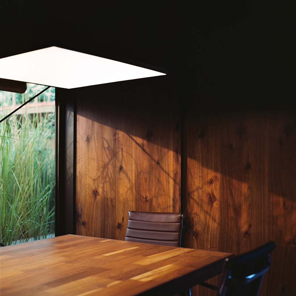 New office Oasis by Studio Saransh