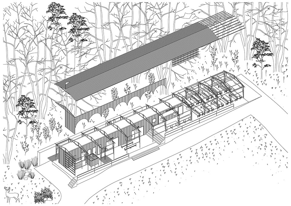 forest pool by mjolk architekti