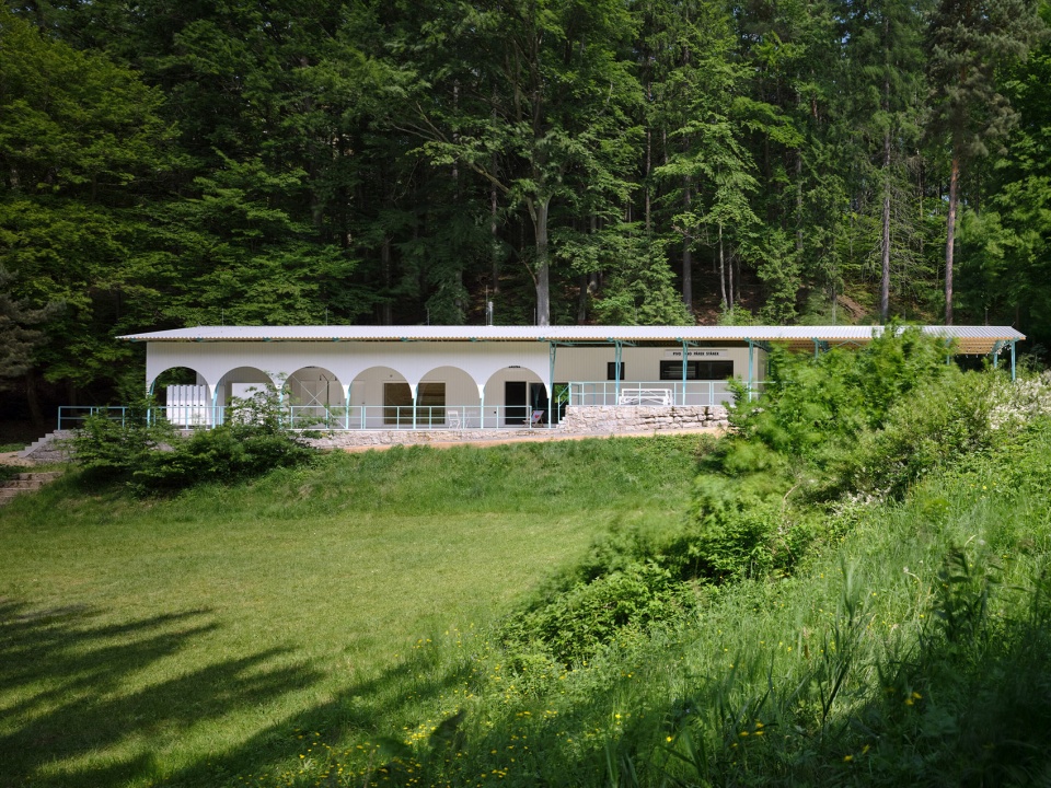 forest pool by mjolk architekti