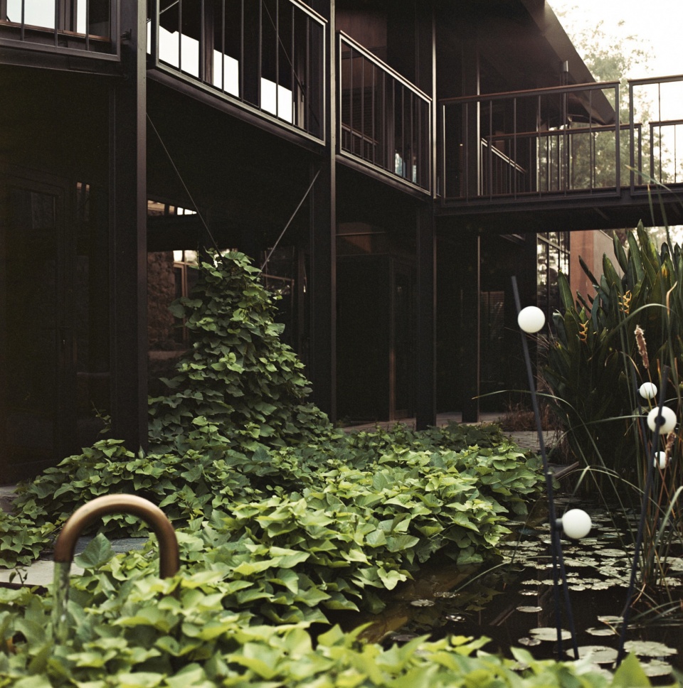 New office Oasis by Studio Saransh