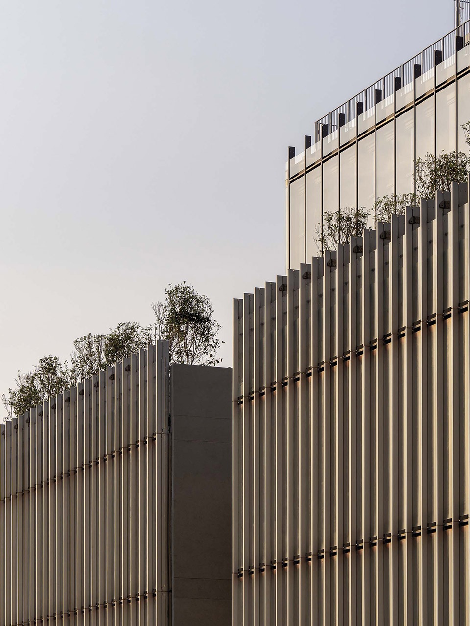 shenzhen whittle school by renzo piano building workshop