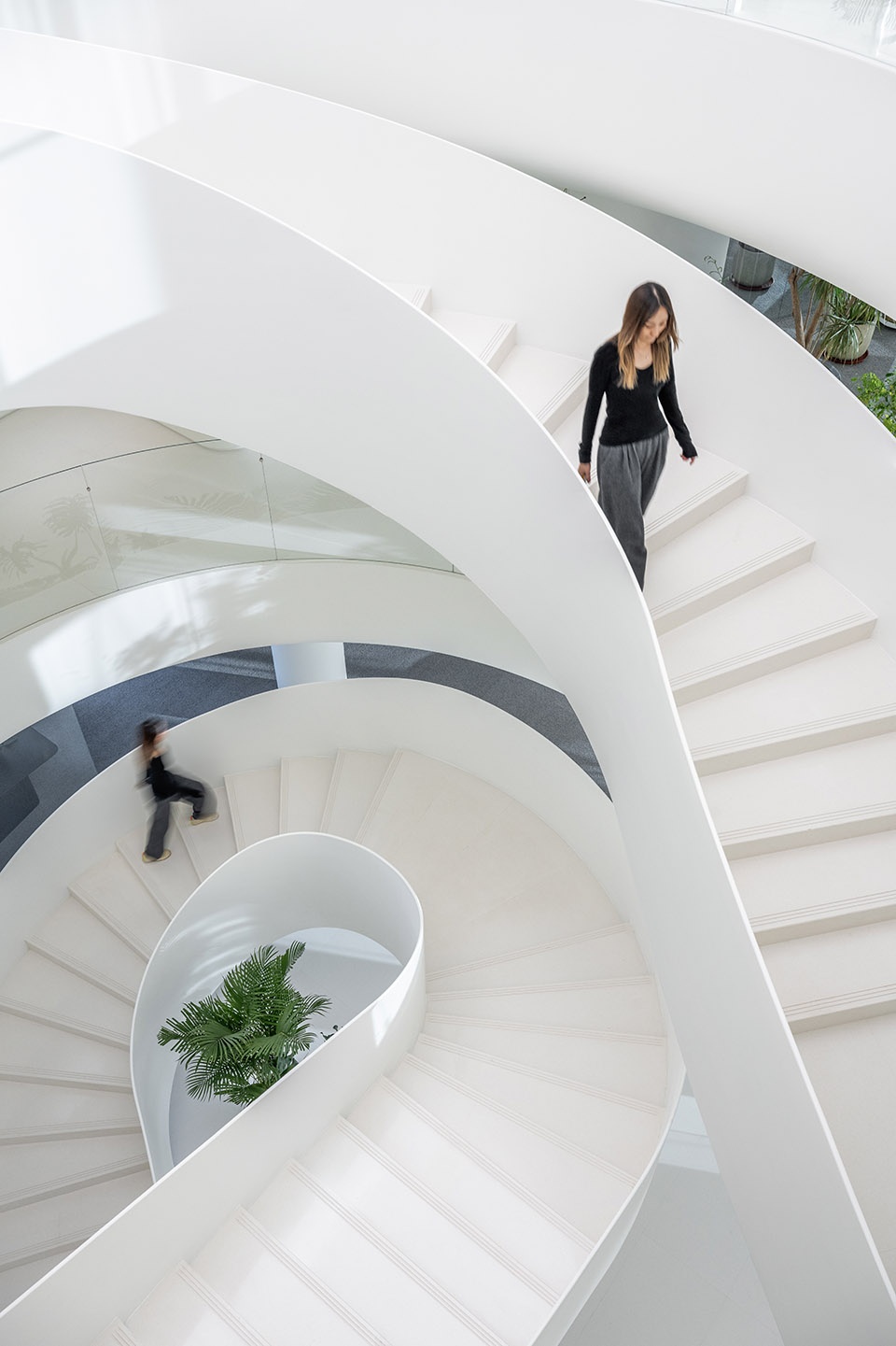 changchun wutai medical office by ippolito fleitz group