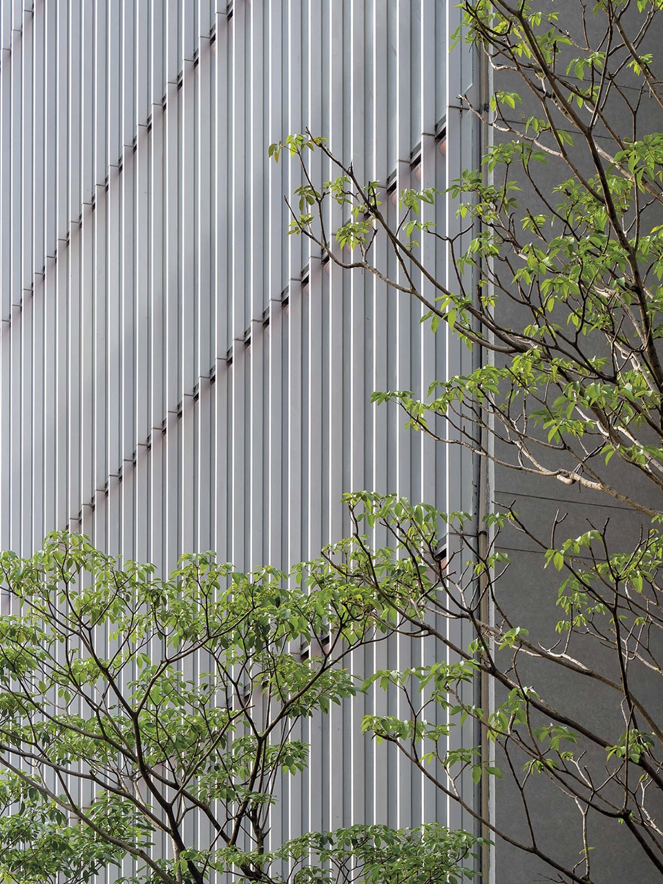 shenzhen whittle school by renzo piano building workshop