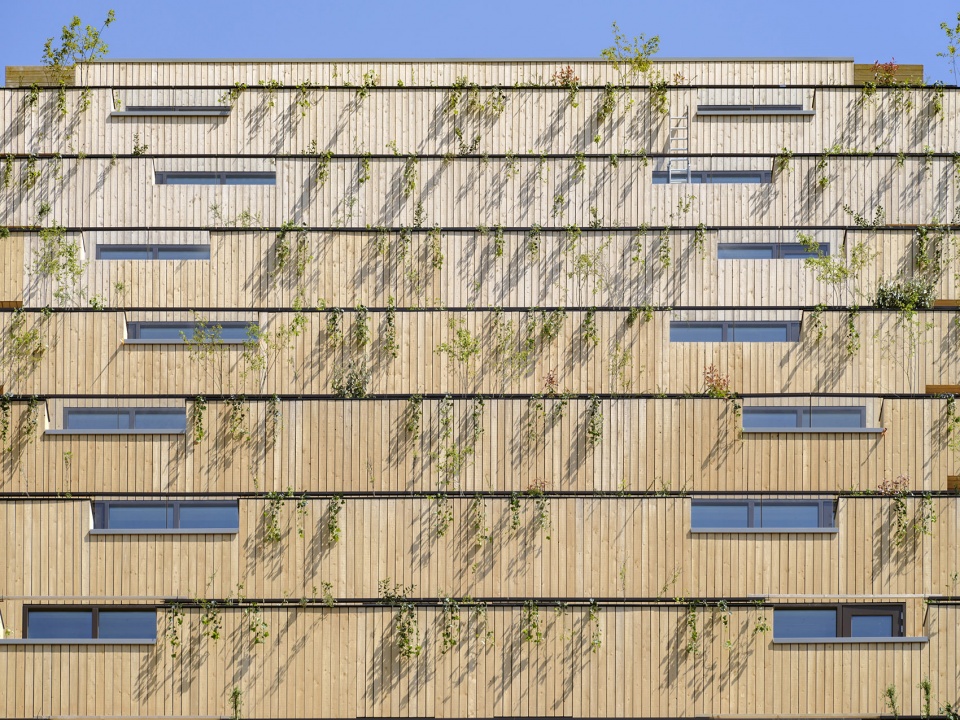 sawa by mei architects and planners