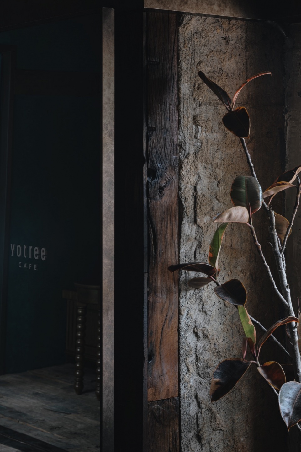 yotree cafe by hhhhsstudio