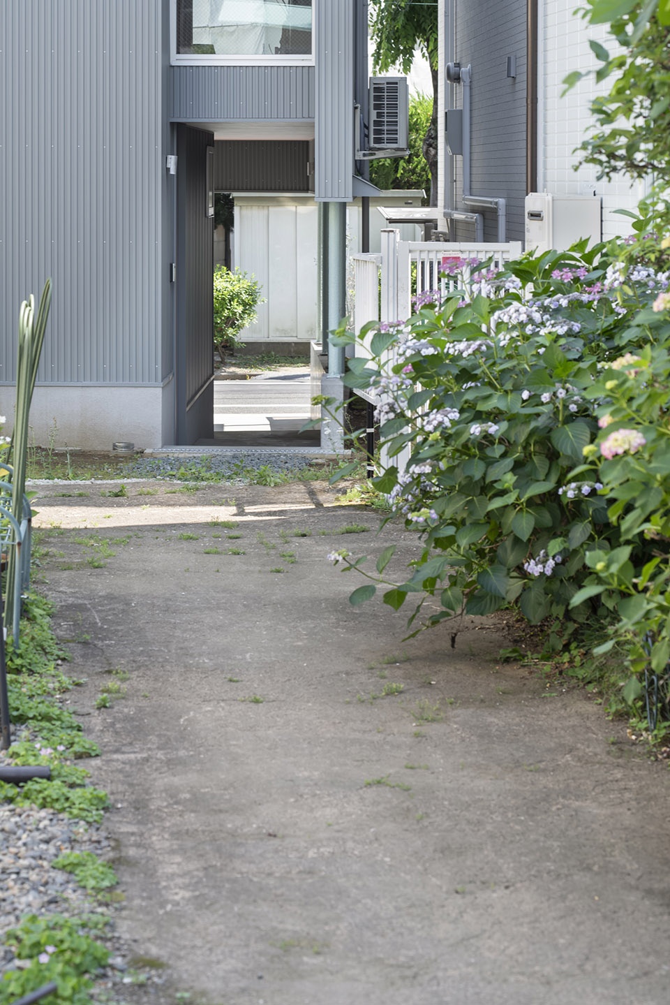 house in itabashi by terrain architects