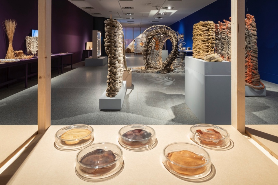 MVRDV creates exhibition design for WEtransFORM at Bundeskunsthalle in Bonn