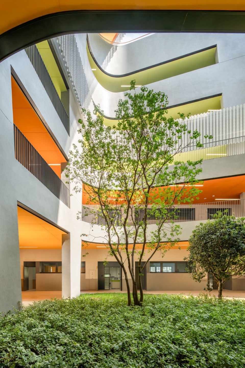 Cuizhu Foreign Language School by Studio Link Arc