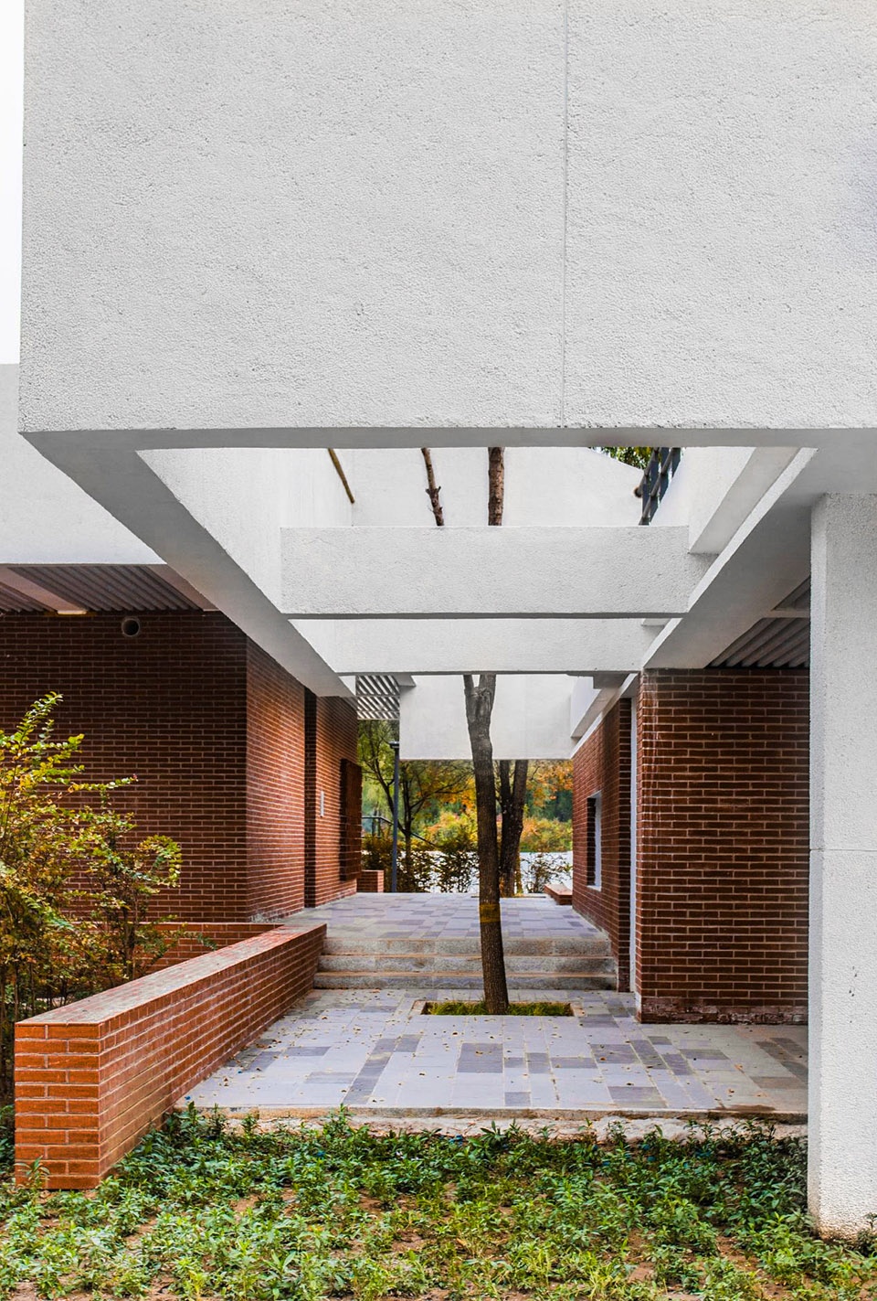aobei forest park by beilin landscape folie architecture