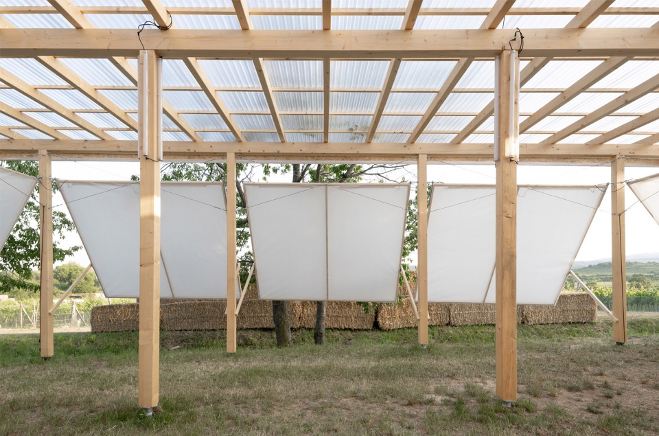 the zeny vino funk zvf festival by jakub kolarovic architects