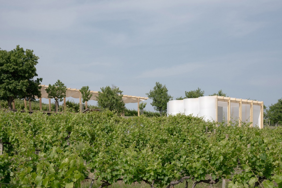 the zeny vino funk zvf festival by jakub kolarovic architects