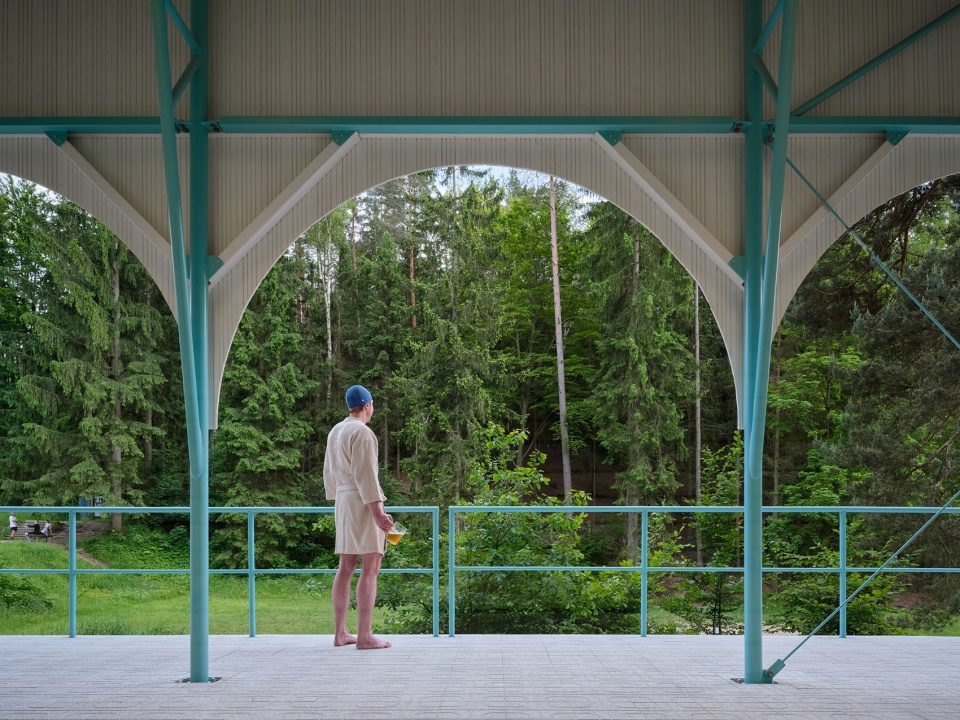 forest pool by mjolk architekti