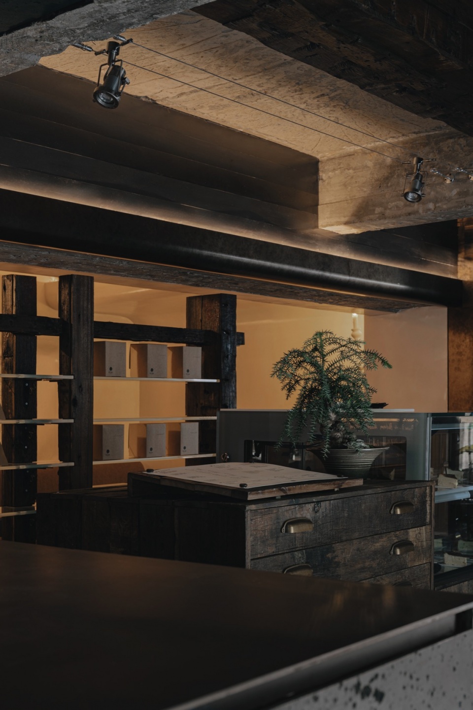 yotree cafe by hhhhsstudio