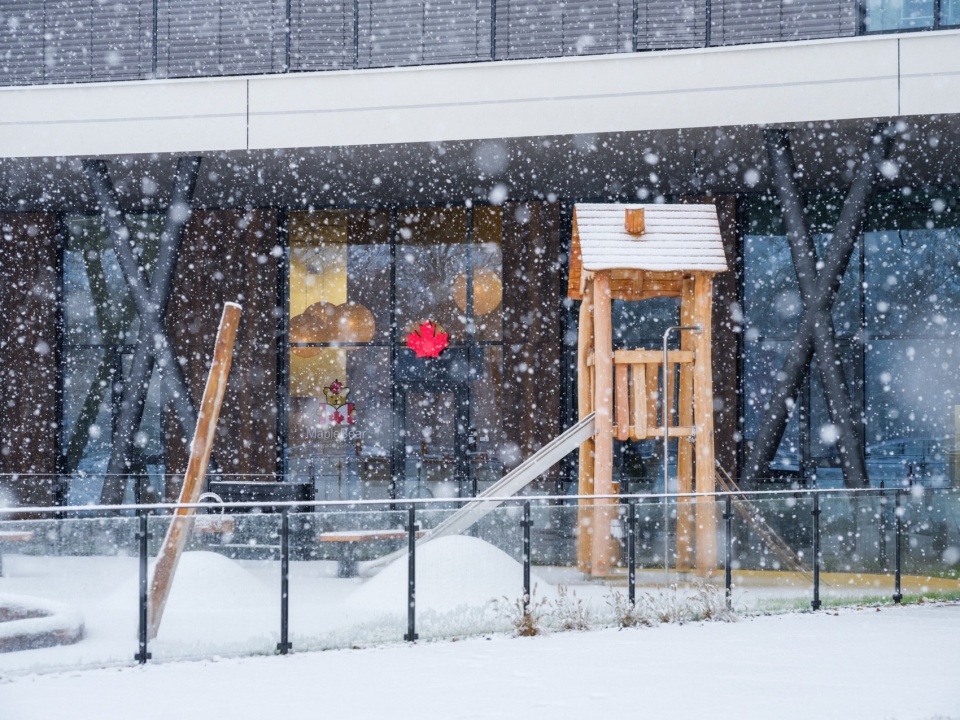 Maple Bear Schools Czechia SOA architekti