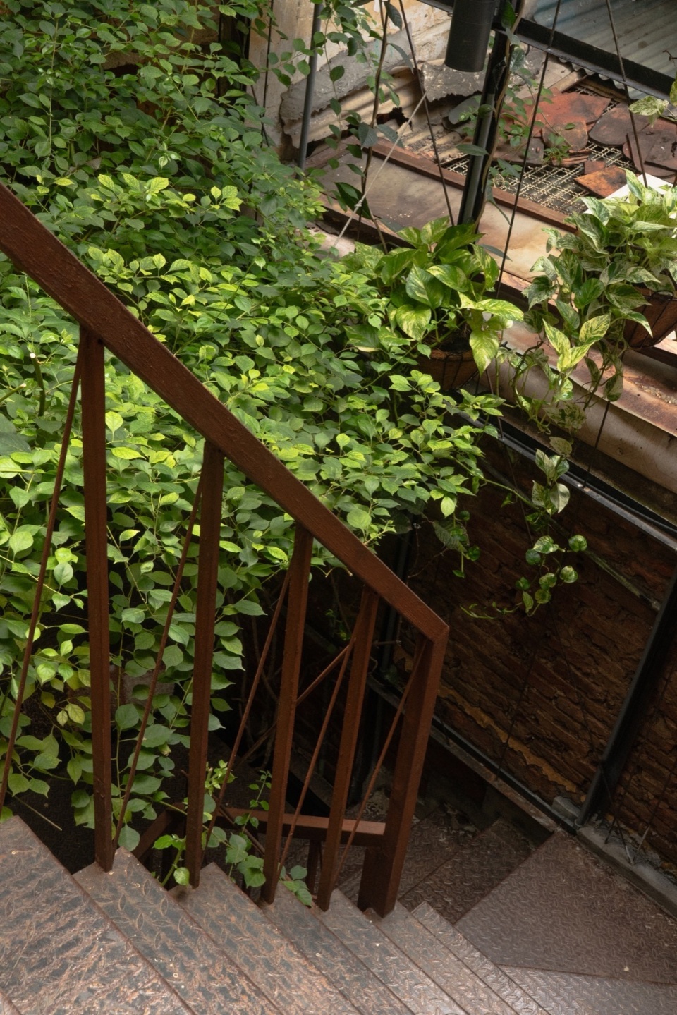 O Plant based Ton That Dam Cafe Restaurant xuong xep