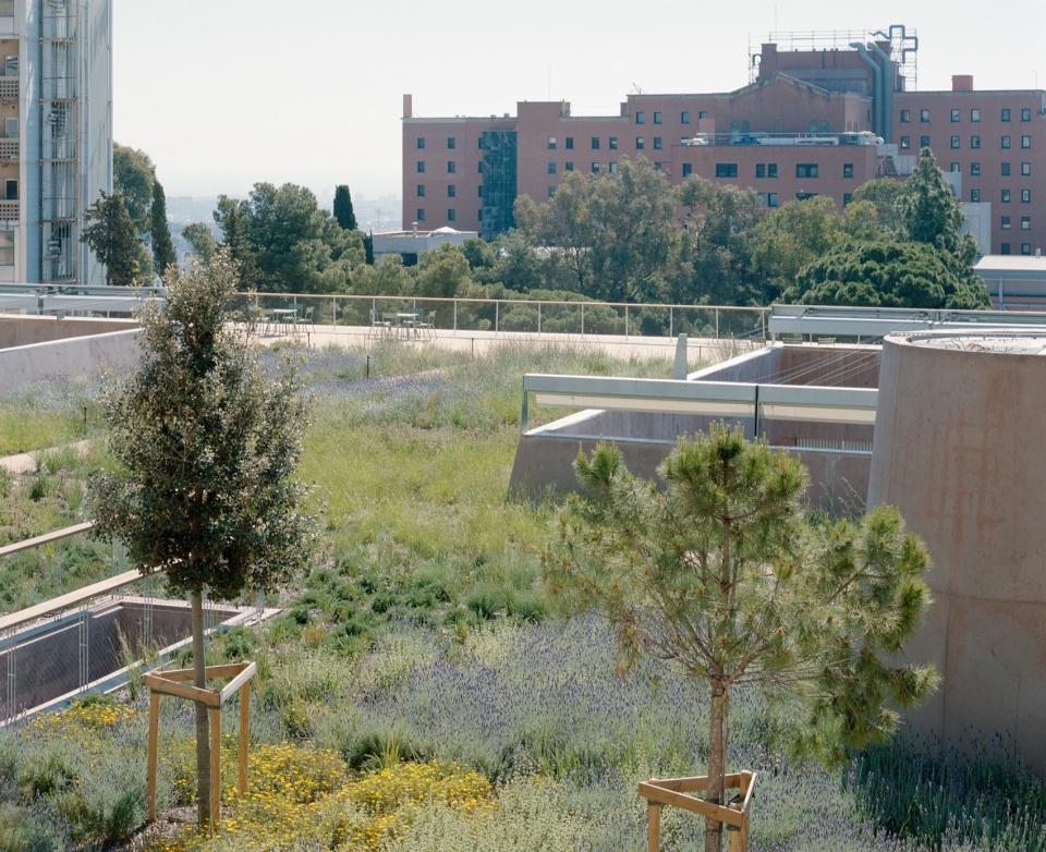 VHIR Research Centre Vall d Hebron Campus by BAAS arquitectura