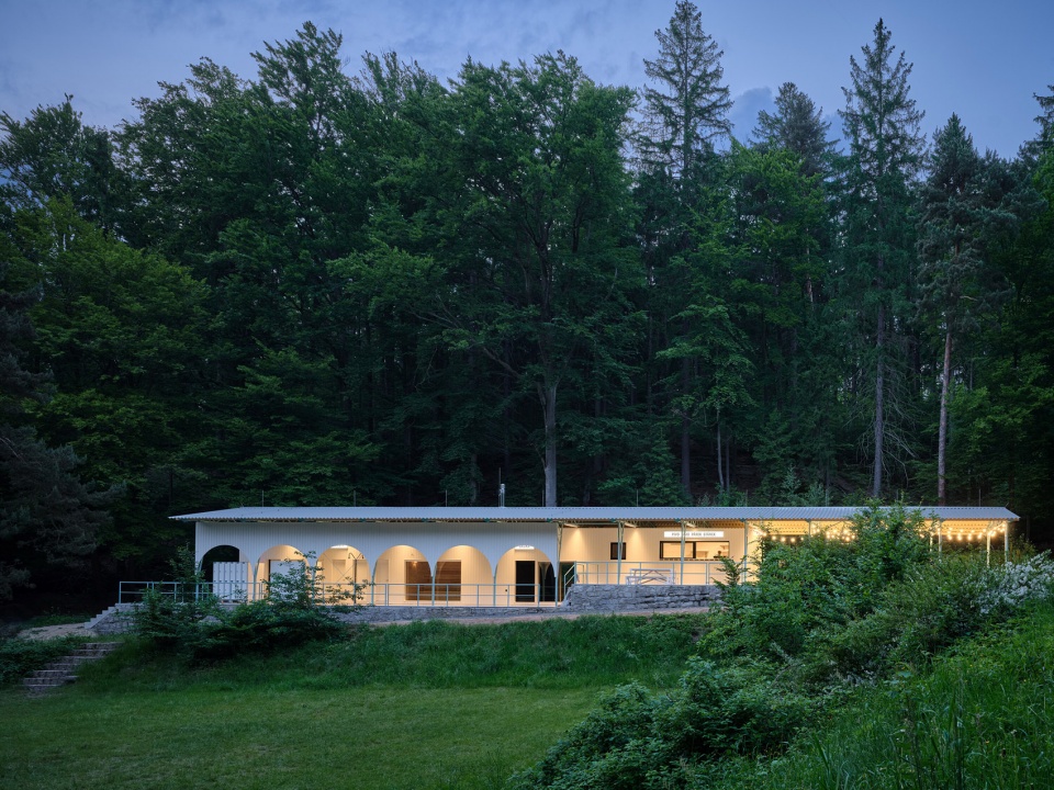 forest pool by mjolk architekti